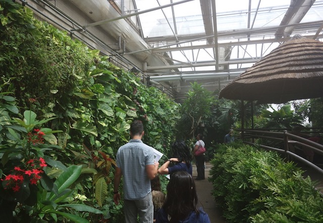 Butterfly Pavilion, Westminster, CO　ちょうちょ館